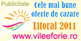 Vile Eforie