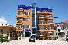 Olguta