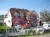 Vadrozsa 2*