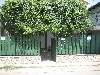 Casa Pinciuc Costinesti